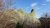 Guri i Cjapit - Patrimoine Naturel