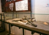 Musée archéologique dans le château Rozafa