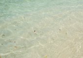 Eaux claires de la plage de Ksamil